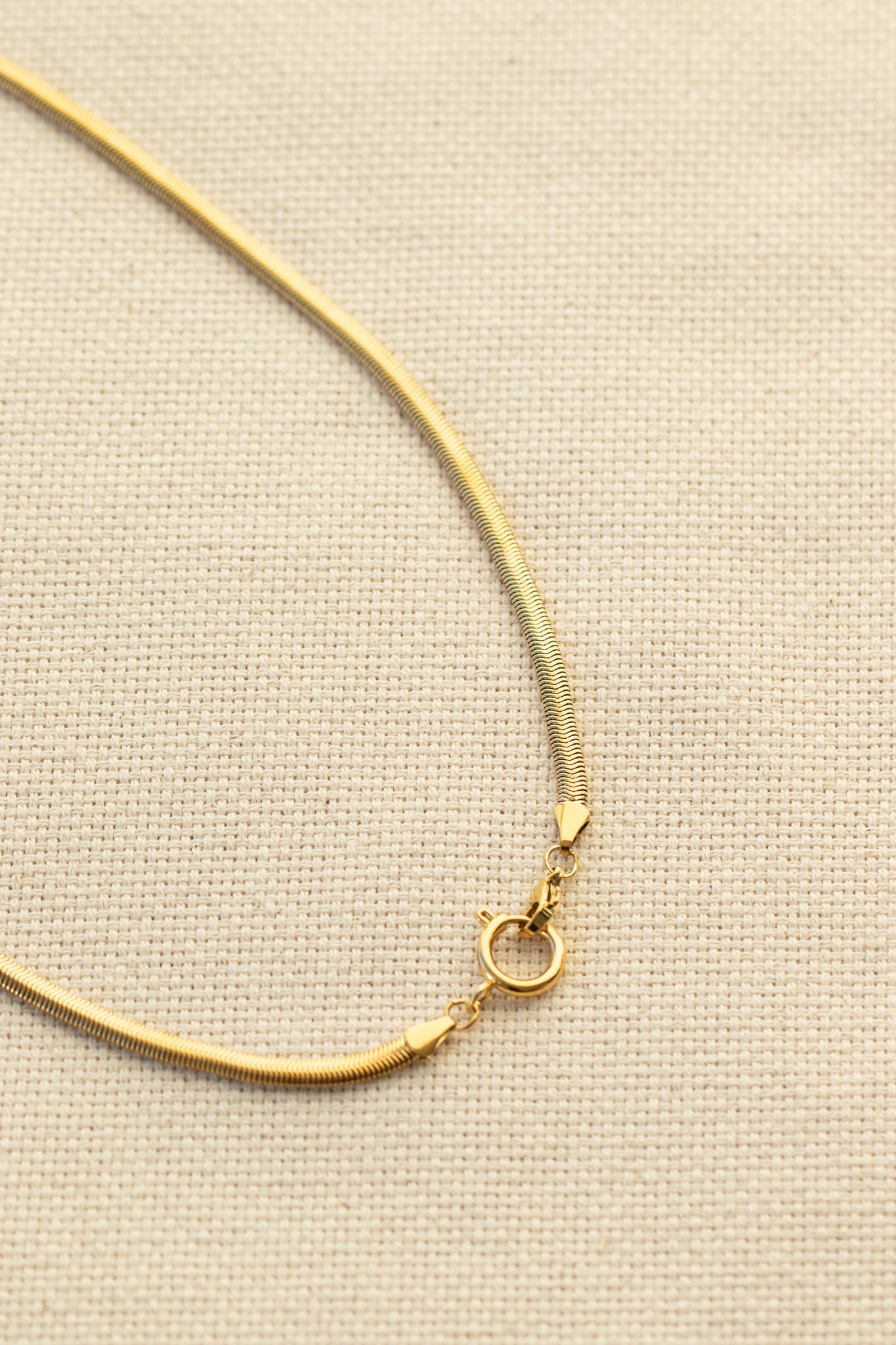 Solene Clasp Chain