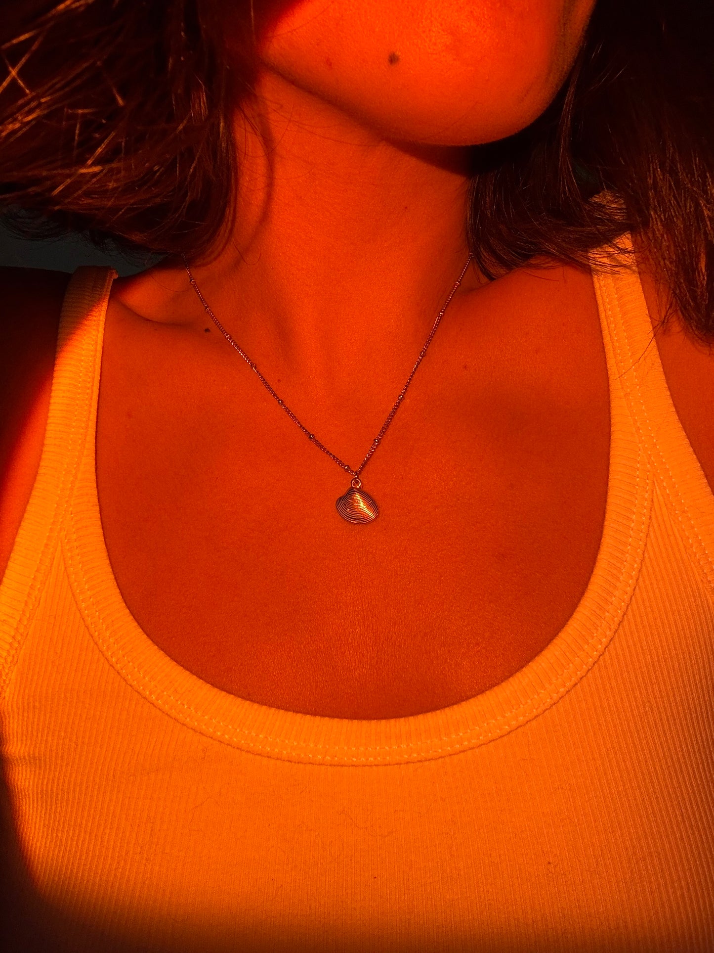 Shell Necklace