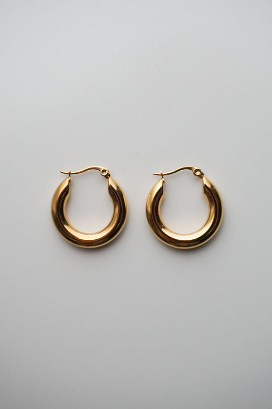 Gold Hoop Earrings