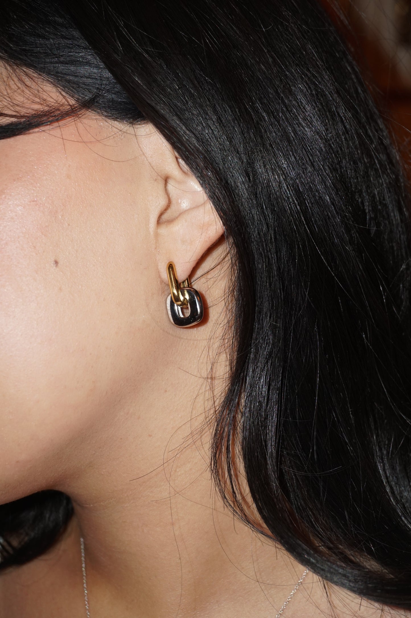 The Sierra Earrings