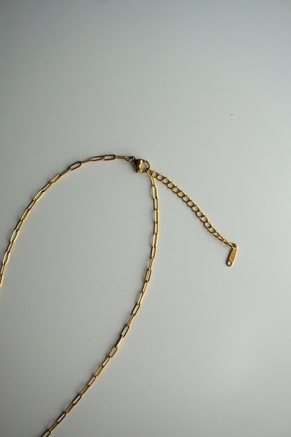 Shell Necklace