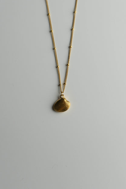 Shell Necklace