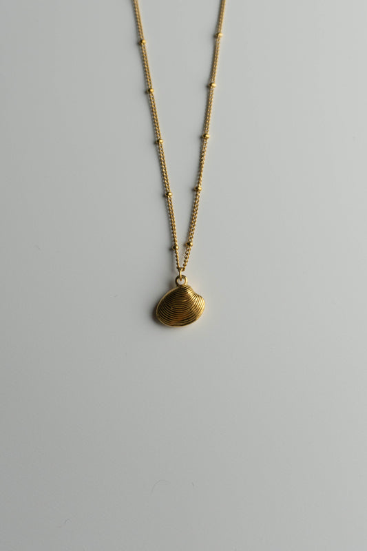 Shell Necklace