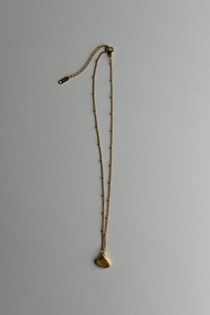 Shell Necklace