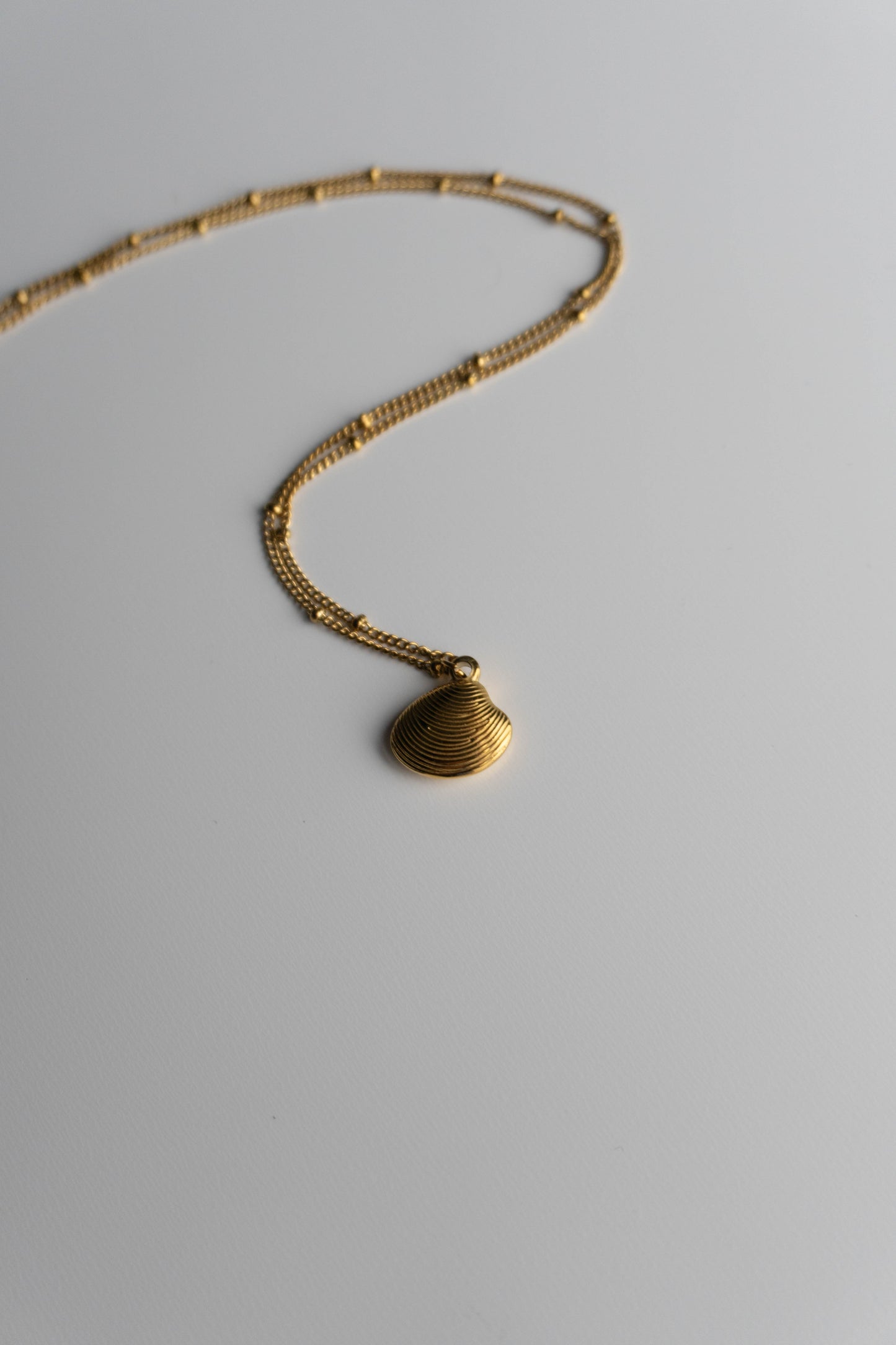 Shell Necklace