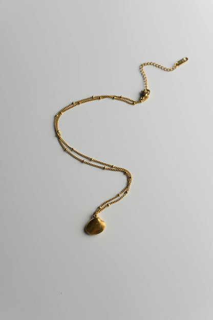 Shell Necklace